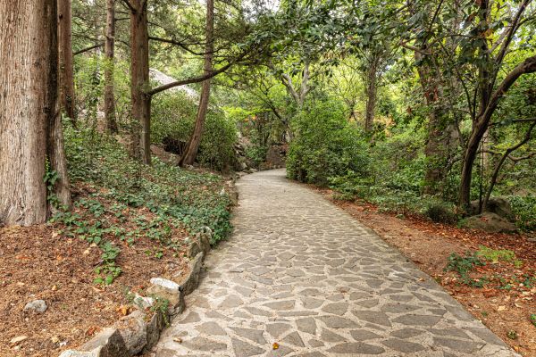 Stone Walkway Repair in Henderson