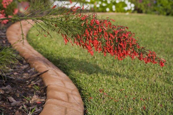 Brick Edging in Henderson