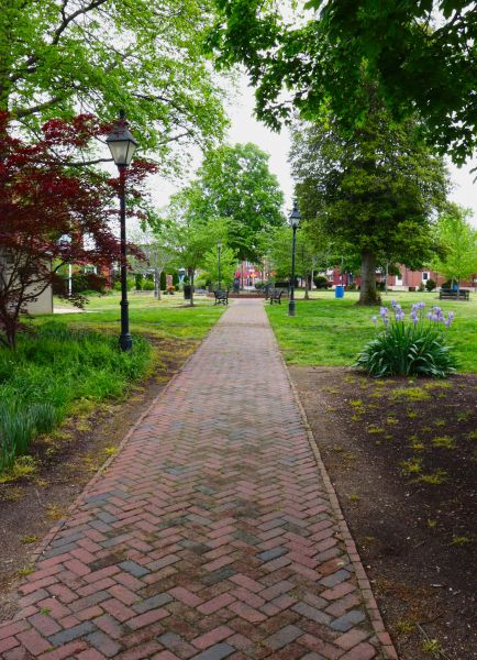Brick Pathway Repair in Henderson