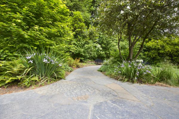 Stone Hardscape Service in Henderson