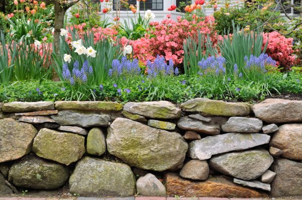 Garden Wall Installation in Henderson