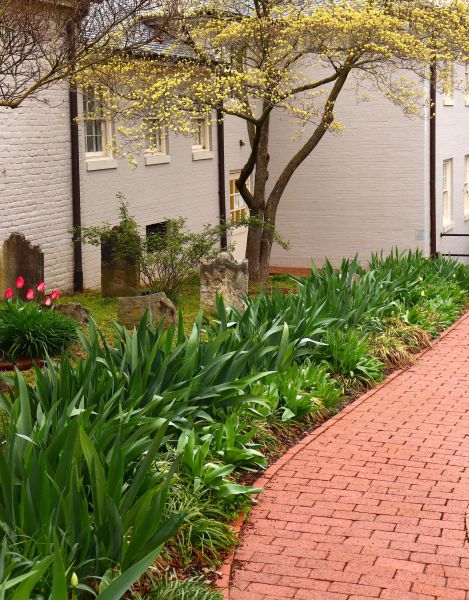 Brick Flatwork Repair in Henderson